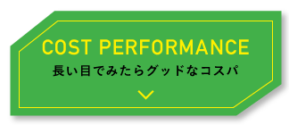COST PERFORMANCE